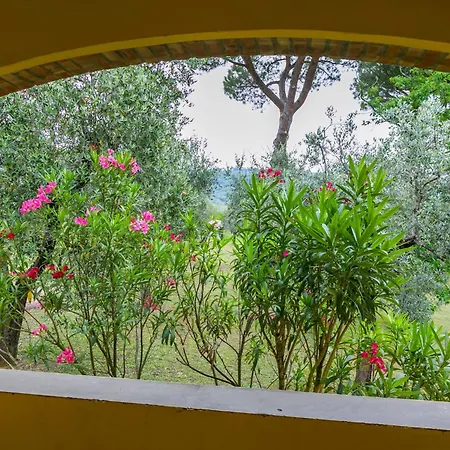 Tenuta San Lazzaro By Interhome * Montevettolini